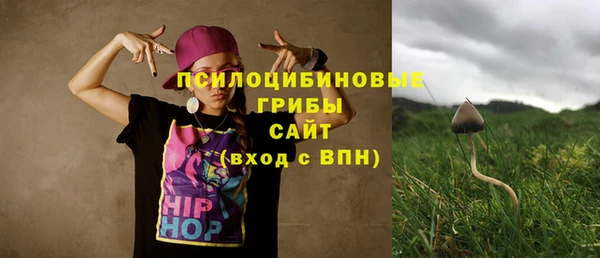 индика Аркадак