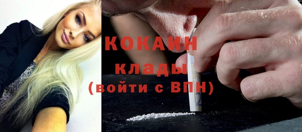 индика Аркадак