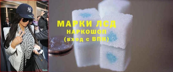 индика Аркадак