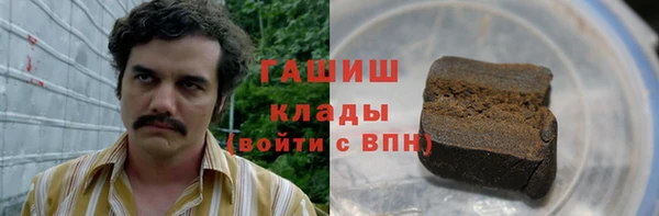 хмурый Арсеньев