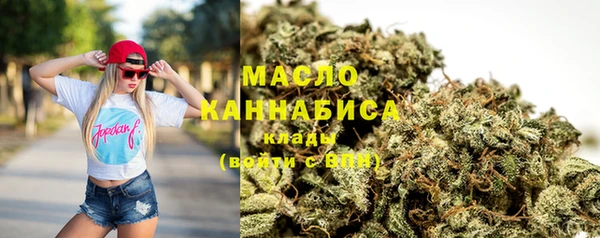 хмурый Арсеньев