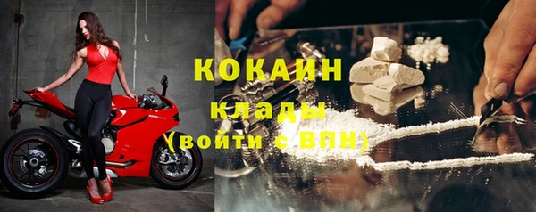 индика Аркадак