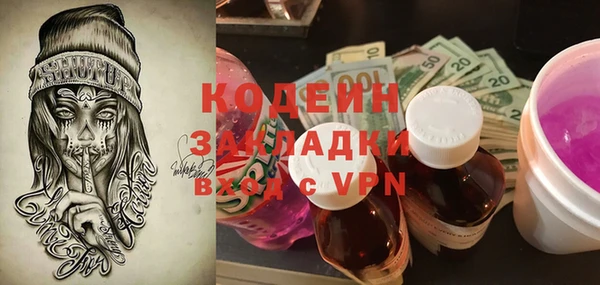 хмурый Арсеньев