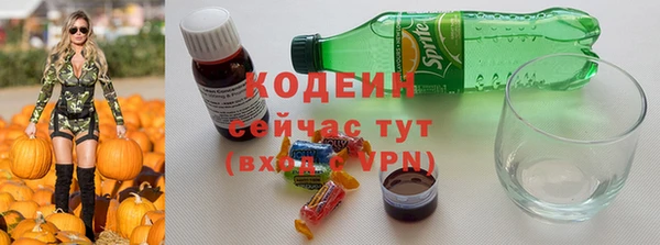 хмурый Арсеньев
