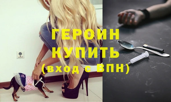 хмурый Арсеньев
