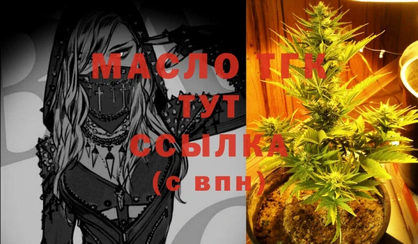 индика Аркадак
