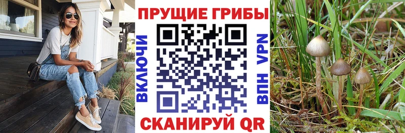 Галлюциногенные грибы прущие грибы Пущино