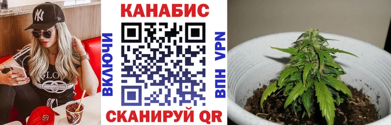сколько стоит  Пущино  Бошки Шишки OG Kush 